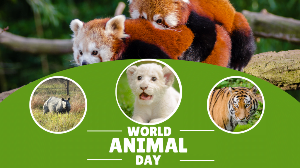 World Animal Day