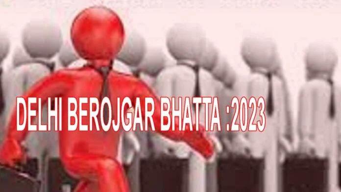 DELHI BEROJGAR BHATTA 2023 DELHI BEROJGAR BHATTA 2023
