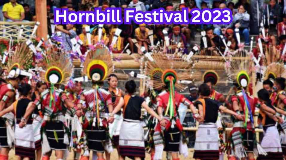 Hornbill Festival