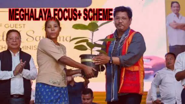 MEGHALAYA FOCUS PLUS SCHEME MEGHALAYA FOCUS PLUS SCHEME