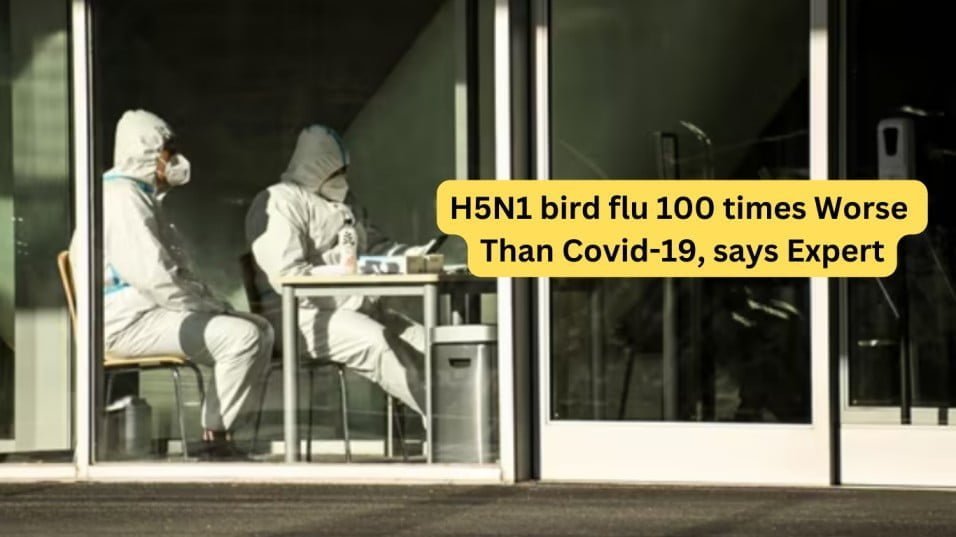 H5N1 bird flu
