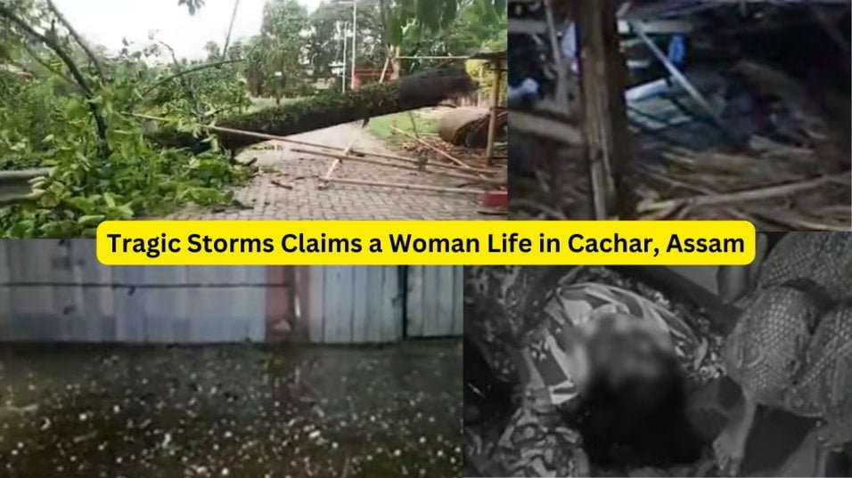 Cachar