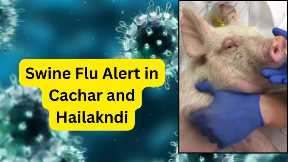 Swine Flu