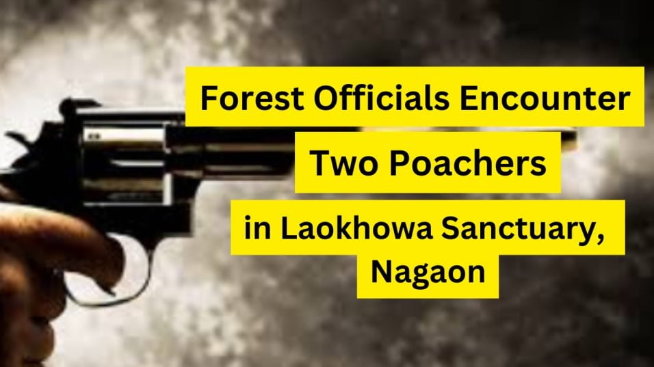 Two Poachers Encounter by Forest Officials in Laokhowa Sanctuary, Nagaon