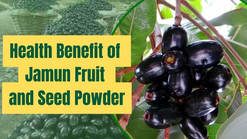 Jamun Benefit