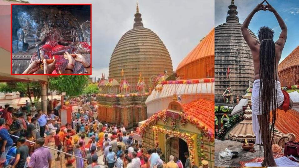 Ambubachi Mela 2024