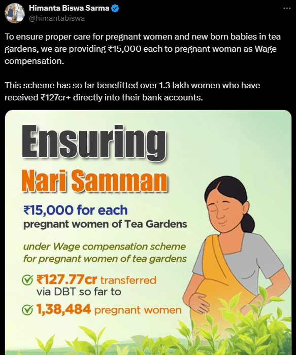 Assam tea garden