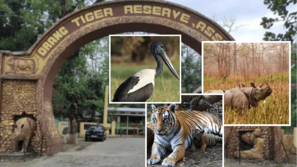 assam tourist places