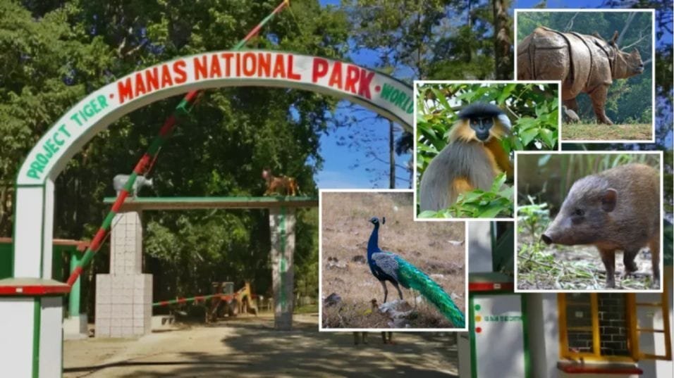 assam tourist places