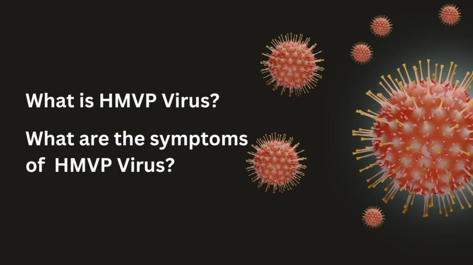 HMVP Virus
