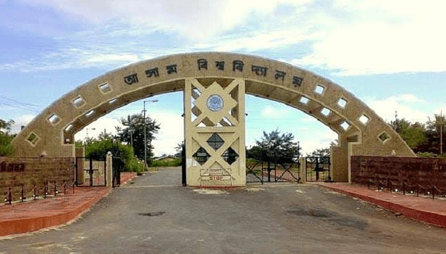 Assam University