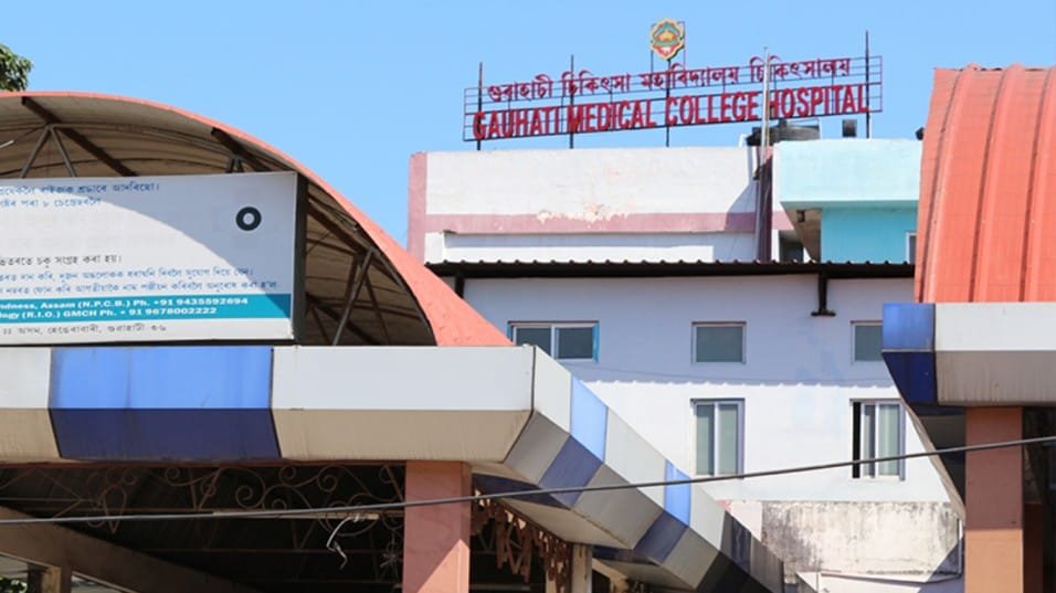 Japanese Encephalitis in Assam