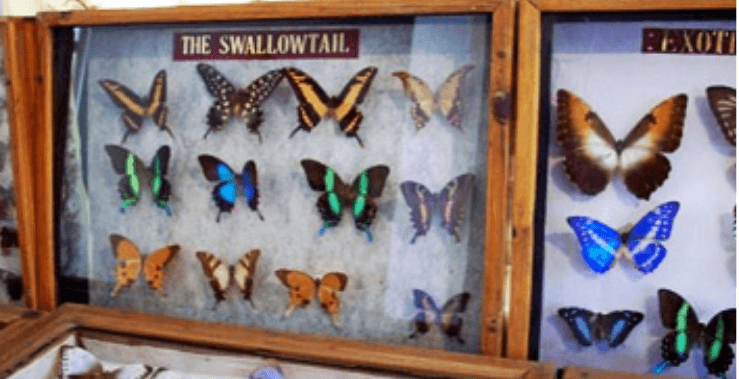 Shillong Tourist Places