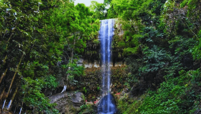 Assam Waterfall