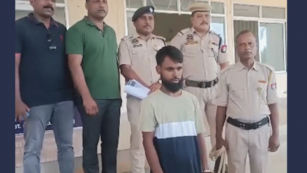 Cybercriminal arrested