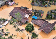 Cyclone Ditwah: 334 Dead, 370 Missing in Sri Lanka Cyclone Ditwah