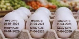 UP Eggs Expiry Date Rule: Eggs to Carry Laying and Expiry Details from April 1