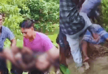 Baruipur Case Horror: Minor Found De#d in Pond, Gangr@pe Alleged, 3 Arrested