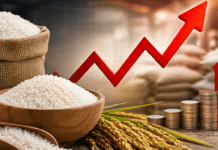 Rice Prices Rise in Guwahati: Joha, BPT, Aijong and Sona Shakti Get Costlier