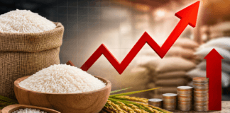 Rice Prices Rise in Guwahati: Joha, BPT, Aijong and Sona Shakti Get Costlier